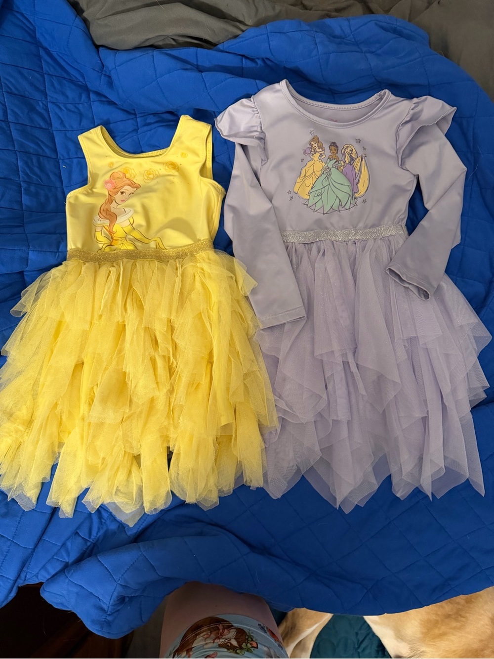 Disney Princess Tulle Dress Bundle 3T PLAY For A Few Stains
